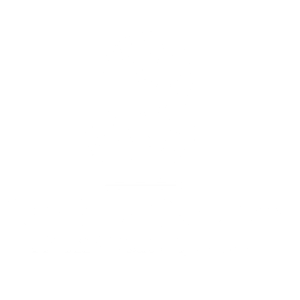 Imperioso client Ritz Carlton