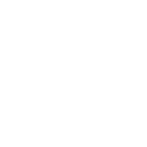 Imperioso client W Hotels